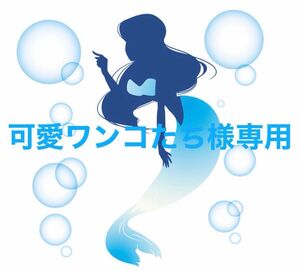 可愛いワンコたち様専用 アリエルな人魚姫セット