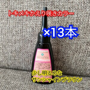 トキメキかえり咲きカラー　サンシャインブラウン　マロン　40ml×13本　白髪染め　カラー剤　トリートメント　ヘアケア　毛髪着色料　茶色