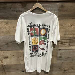 stussy LAGUNA HIGH DESERT Tシャツ ホワイト Lサイズ