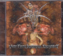 CD ENMITY - Vomit Forth Intestinal Excrement - 輸入盤 AVR001 ブルデス ブルータル デスメタル_画像1