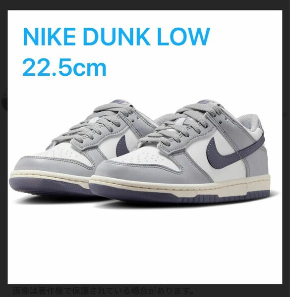 NIKE DUNK LOW GS 22.5cm