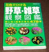 野草・雑草 観察図鑑 野に咲く四季の草花478種 オールカラー 1円～_画像1