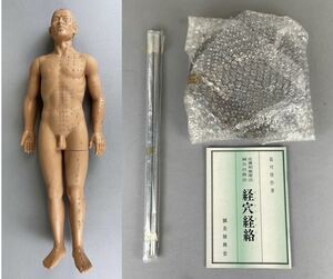 E10 on E14. hole .. model human body model acupuncture moxibustion needle moxibustion tsubo massage integer body height 58cm