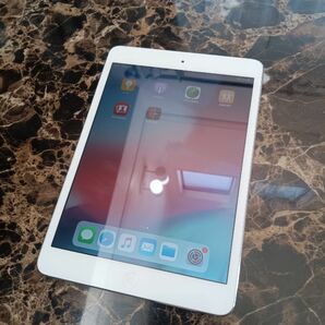 iPad Mini 2 / 16GB