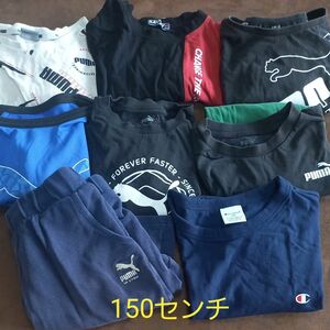 【150センチ】 半袖　Tシャツ　ハーフパンツ　プーマ　チャンピオン　名札跡あり