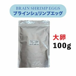 ブラインシュリンプエッグ　【１００ｇ】【大卵】【孵化率95%】【中国チベット産】