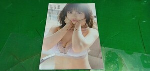 斎藤みらい　立木綾乃　グラビア雑誌切り抜き10P