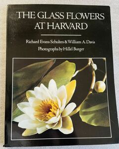 【洋書】The Glass Flowers at Harvard / 花のガラス模型