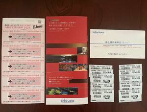 ☆ネコポス送料込☆ 西武HD 株主優待券１冊・西武鉄道 株主優待乗車証10枚 セット