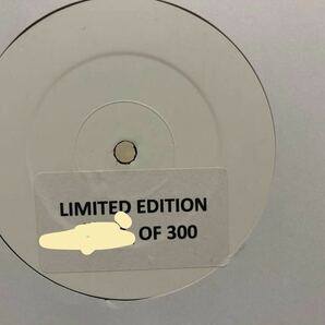 限定300枚　激レア　Eminem Foolish Pride White Only盤