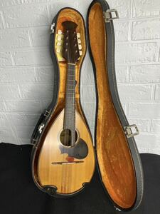 [KH00231000]SUZUKI Model No. M-20 mandolin acoustic guitar hard case attaching mandolin Morris SUZUKI YAMAHA Morris