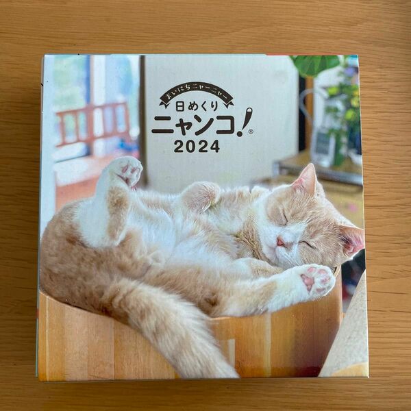猫 卓上 カレンダー 2024 日めくり ニャンコ