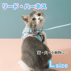 ハーネス リード 反射板付 猫 犬 小動物 L ベスト型 ピンク×ブルー 胴輪 