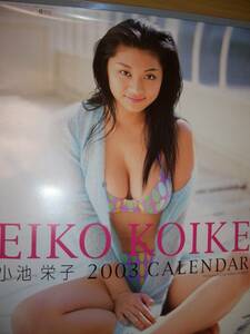  Koike Eiko calendar not for sale 