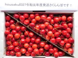 * тщательно отобранный *.. отгрузка * превосходящий товар M~L* Yamagata восток корень производство вишня Sato .*1kg* первый лето. рубин. блеск!!