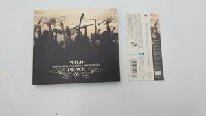 WILD PEACE(DVD付) 東京スカパラダイスオーケストラ CD