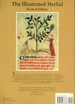 【洋書】The Illustrated Herbal 植物(ハーブ)のイラスト 植物画 ボタニカルアート ヨーロッパ 植物学 英語_画像2