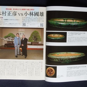 月刊近代盆栽誌最新号から一年分１２冊の画像7