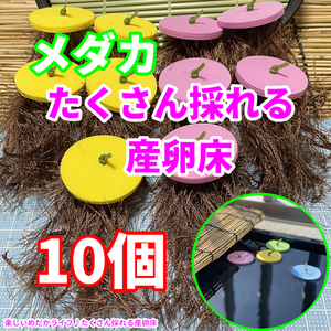 めだか たくさんとれる 産卵床☆【黄×青 各５個　計１０個】#24 水草 卵 浮草 ホテイ草 布袋草 メダカ 水槽　ラメ 三色　紅白