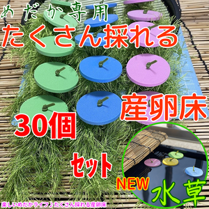 めだか たくさんとれる 産卵床☆【緑×青×ピンク 各１０個　計３０個】#40 水草 卵 浮草 ホテイ草 布袋草 メダカ 水槽　ラメ 三色　紅白