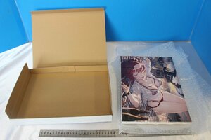 M4147** including in a package un- possible ** tent Live . bell marine action two anniversary commemoration canvas art 