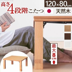 高さ4段階調節 折れ脚こたつ フラットローリエ 120×80cm