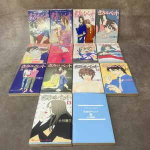 きみはペット 全14巻 小川彌生 現状品 恋愛漫画 年下男子 キャリアウーマン