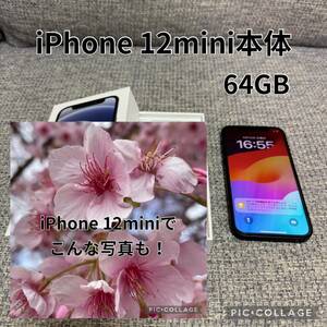 Apple iPhone 12mini 本体