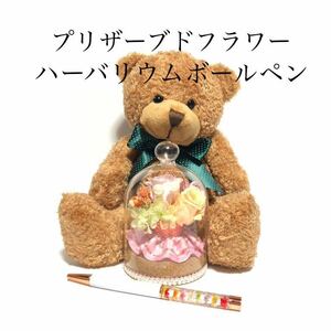  консервированный цветок ( стекло контейнер )& гербарий шариковая ручка & медведь. мягкая игрушка 