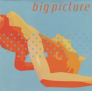 ◆BIG PICTURE ビッグピクチャー / BIG PICTURE / PHEW、長嶌寛幸 他 / 2001.09.27 / 1stアルバム / LMCA-1002