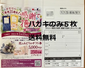 【懸賞応募はがきのみ５枚】日本香堂「かたりべ発売２５周年 感謝で花咲くキャンペーン 数量：１★送料無料