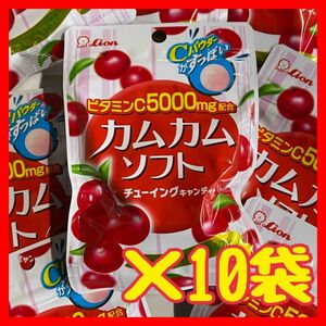 ★ライオン菓子★カムカムソフト★チューイングキャンディ★10個★激安！