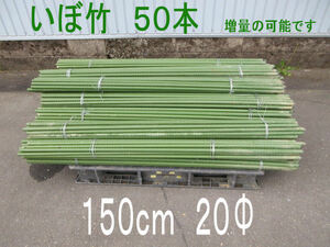長野県北部 引取限定　いぼ竹１５０ｃｍ　５０本　イボ竹　園芸支柱　鋼管竹　