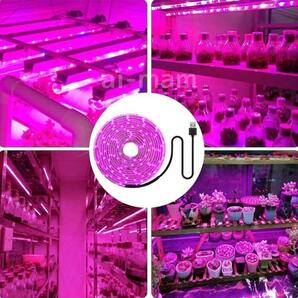 【２個セット】LED植物育成テープライト 5m 防水 USB対応 家庭菜園 観葉植物 成長促進 光合成 長さ調整可能の画像4