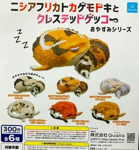 送料無料★匿名発送★ ニシアフリカトカゲモドキとクレステッドゲッコー おやすみシリーズ 全6種セット　ガチャガチャ　フィギュア