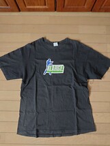 90s エクストララージ　USA製 Tシャツ2枚セット売り_画像4