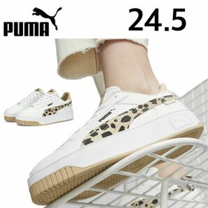 プーマ スニーカー レディース シューズ PUMA キャリーナ ストリート アニマル ローカット 厚底 24.5cm 完売品