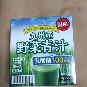 野菜青汁 20包 乳酸菌 大麦若葉 青汁