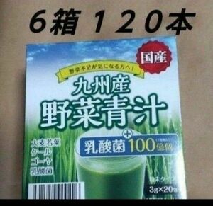 野菜青汁 ６箱 乳酸菌 大麦若葉 青汁