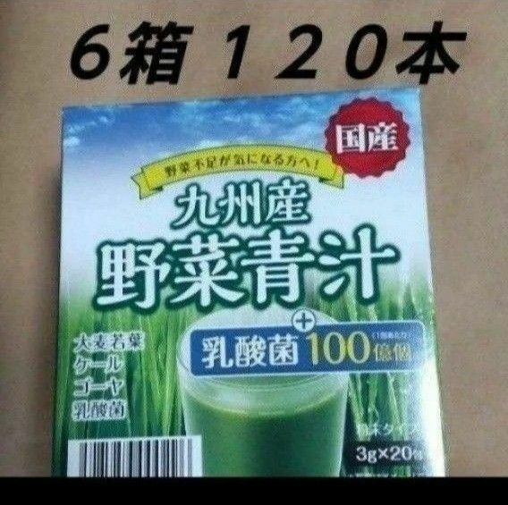 野菜青汁 ６箱 乳酸菌 大麦若葉 青汁