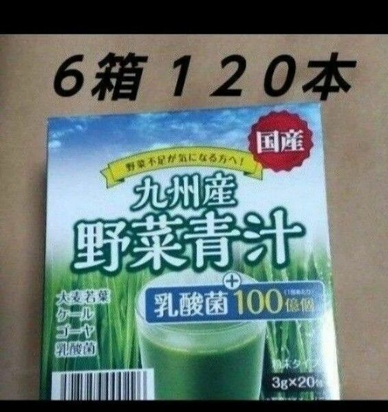 野菜青汁 ６箱 乳酸菌 大麦若葉 青汁