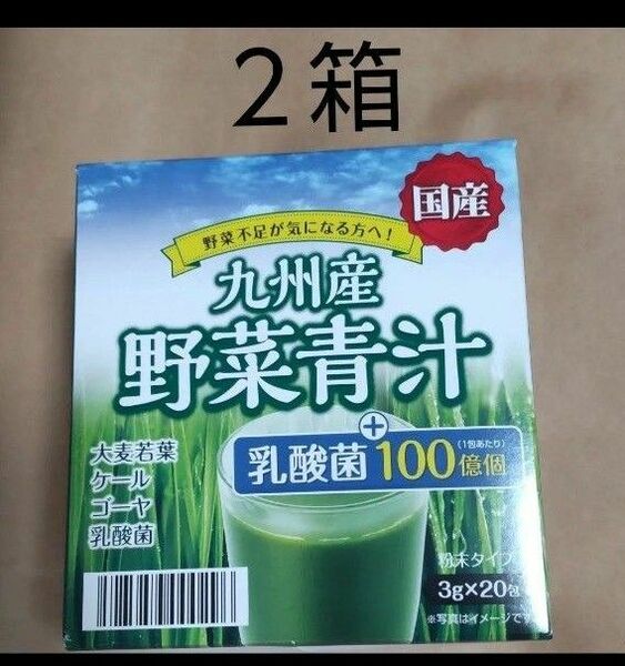 野菜青汁 ２箱 乳酸菌 大麦若葉 青汁