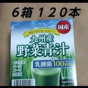 野菜青汁 ６箱 乳酸菌 大麦若葉 青汁