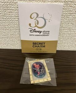 【限定品】ディズニーストア30周年　シークレットチャーム　ティンカーベル