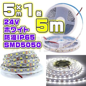 防水 60LED 24V LED テープライト 5m ホワイト SMD5050