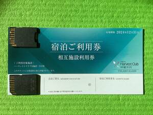 2024 東急ハーヴェストクラブ VIALA annex軽井沢 相互施設利用券