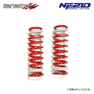 tanabe タナベ サステック NF210 ダウンサス フロントのみ レクサス GS450h GWS191 H18.3～H24.1 2GR-FSE NA FR