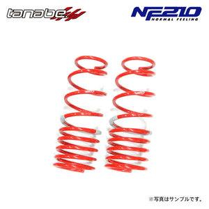 tanabe タナベ サステック NF210 ダウンサス リアのみ アトレーワゴン S320G H17.5～H19.9 EF-DET TB FF