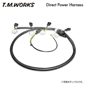 T.M.WORKS ダイレクトパワーハーネスキット エルグランド E51 EN51 VQ35DE H14.5～