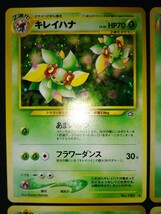 【送料無料】キレイハナ　エリカのラフレシア　ラフレシア　わるいラフレシア　ポケモンカード pokemon cards 旧裏 旧裏面　まとめて キラ_画像2